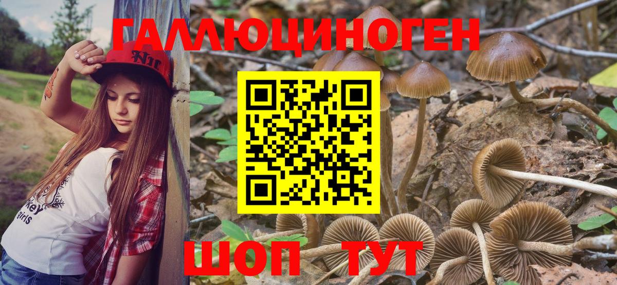 Галлюциногенные грибы Psilocybine cubensis  Вход с VPN  Кингисепп  Галлюциногенные грибы ЛСД 